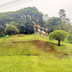 Cat Park - Sorry Mick. No can do-eee!