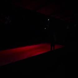 Toucan Rave ... it's a thing!