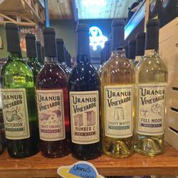 Which one do you think I chose?