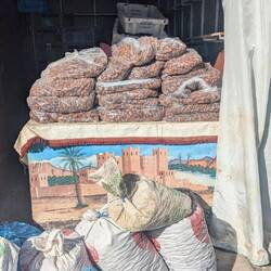 Willkommen im Dattelland