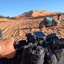 Merhaba in der Sahara