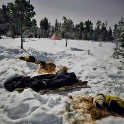 Mein Schlafplatz zwischen Tubbs und Saiva.