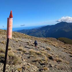 Fighting in the wind