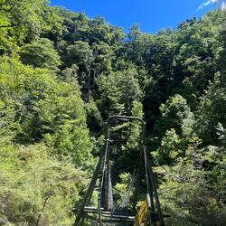 Another swing bridge