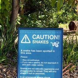 Haben wir leider wieder nicht gesehen!