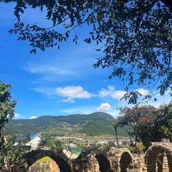 Le "chicken village"