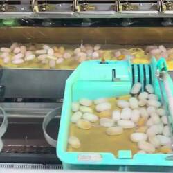 Voilà comment est fabriqué le fil pour la soie