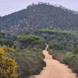 Super Wanderweg 👍