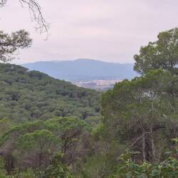 Gleich geht's bergab Richtung Stellplatz.