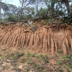 Erosionen durch Regen