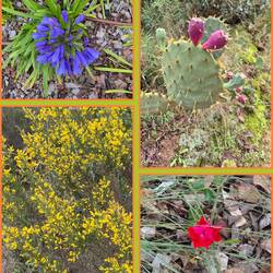 🙋‍♂️🐕‍🦺🙋‍♀️