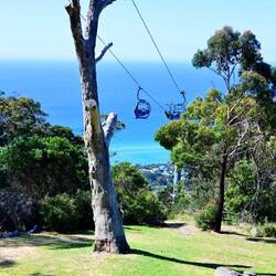 Arthurs Seat State Park, Seilbahn
