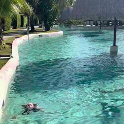 Kampf um die letzten 5m