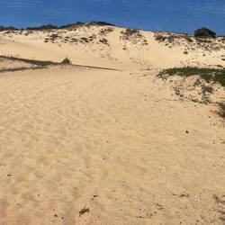 Lovely dunes all around