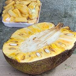 Fruit du Jacquier ❤️