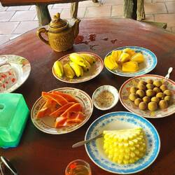 Dégustations de fruits 🍍