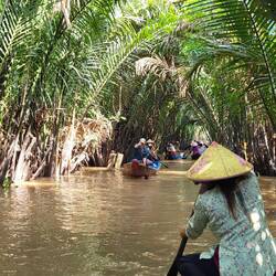 Pont naturel de palmiers d'eau 🍀