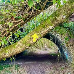 Love the yellow arrows