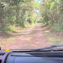 Und jetzt normales Tempo