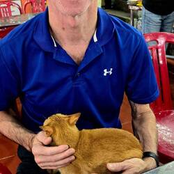 If you know Brad, you know he found a cat!