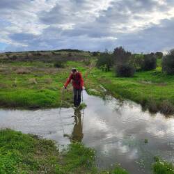 Der viele Regen macht sich bemerkbar.