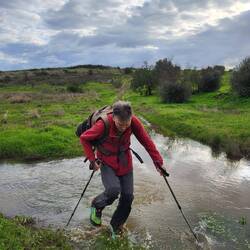...das hätte fast geklappt.