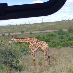 was für ein Empfang in der Lodge 😄
