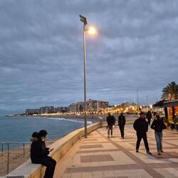 ...und gen Westen. 🙋‍♂️🐕‍🦺🙋‍♀️