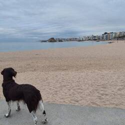 ...die deutschen Urlauber mit Hund 🐕 und Kindern sind wohl schon abgereist, wegen Schulbeginn.