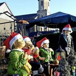 ...der gleiche Garten am 19.12.2020