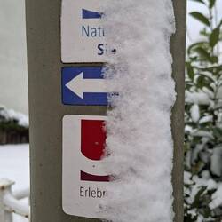 Dem roten folgen wir heute.