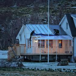 Der Sturm hat ein Teil von Jan-Ivars Dach abgedeckt. Er war schon am reparieren...