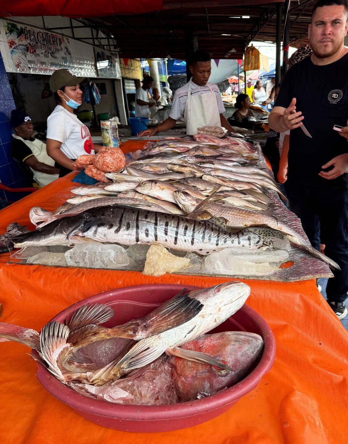 Fish market that supplies much of Cartagena’s daily seafood.
