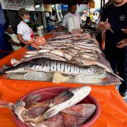 Fish market that supplies much of Cartagena’s daily seafood.