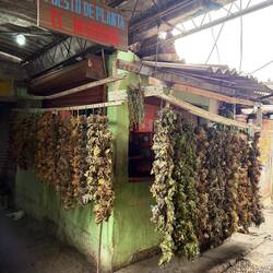 Medicinal herbs and herb-infused rums sold for traditional remedies.