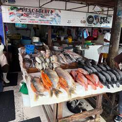 Fish market that supplies much of Cartagena’s daily seafood.