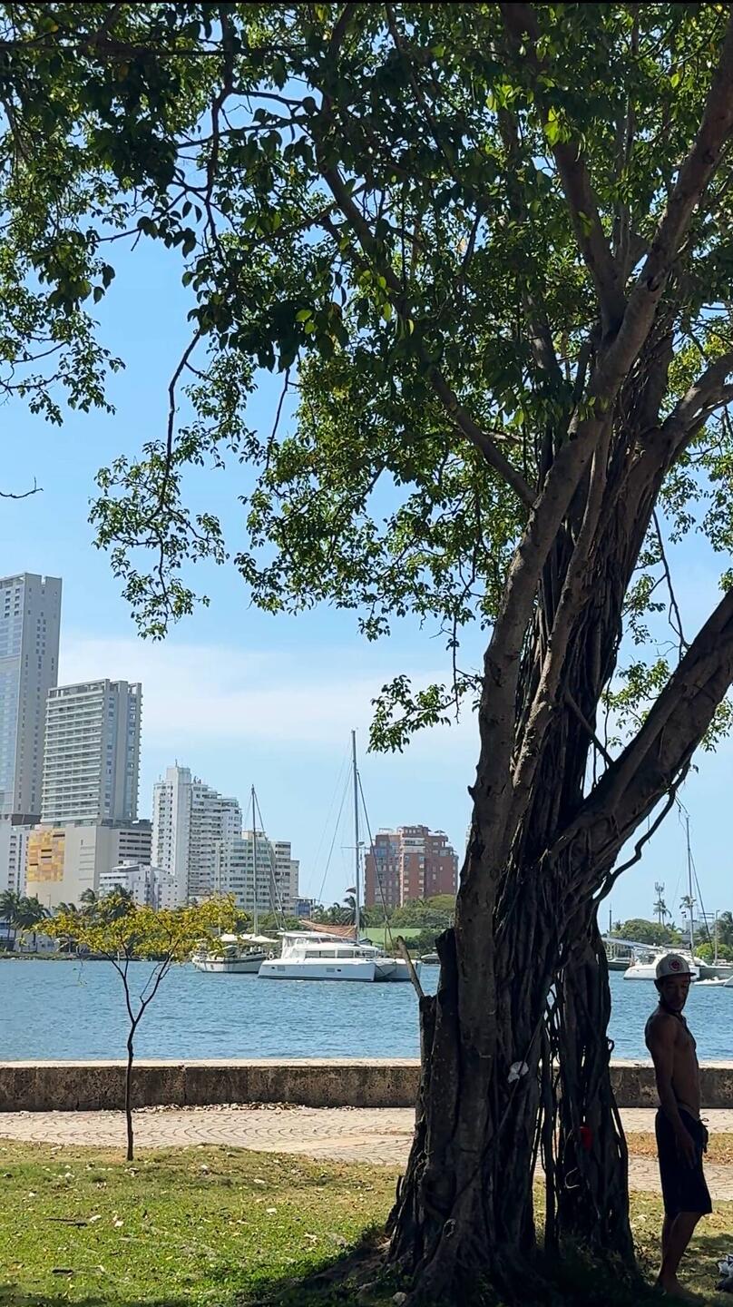 die große Bucht von Cartagena