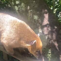 Unser kleiner süßer Freund