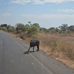 Er ist dann doch gegangen. Danach stand er wieder auf der Straße