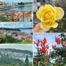 Pylos war uns gegenüber.🤩Die Rose blüht weiterhin bei der Tankstelle 🙂