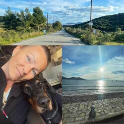 Lesley drückt sich manchmal mit ihren ganzen 38kg her und genießt die Aussicht🐾🥰