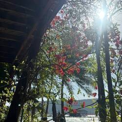 Beach House Cambodia