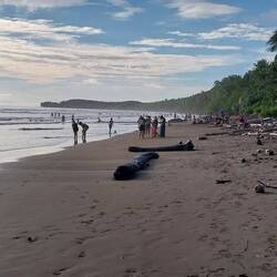 Playa Uvita
