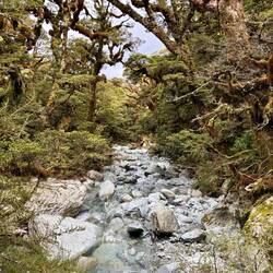 De eerste van vele watervallen