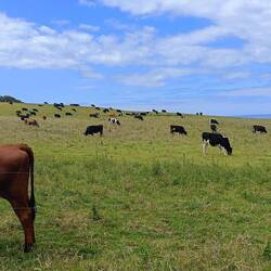 Début de la marche Slope point