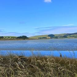 Vue pendant que l'on roule