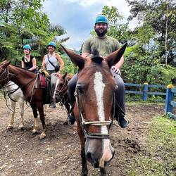 Mariposa ... 🐴 Not shy of the camera!