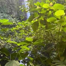 Almost called it quits here ...