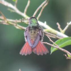 They actually have legs and sit!