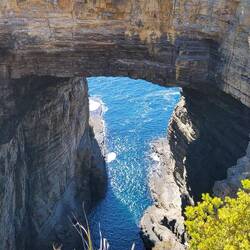 Tasman Arch